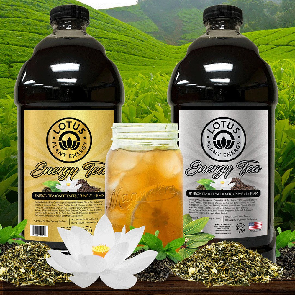 Lotus Super Tea Energy Concentrate 1/2 Gallon Pump and Serve Bottles