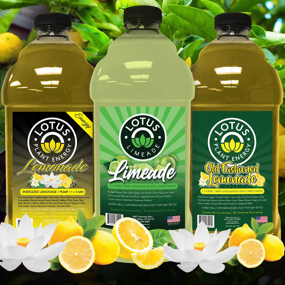Lotus Lemonade and Limeade 1/2 Gallon Concentrate Bottles.